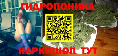 соль ск Рузаевка